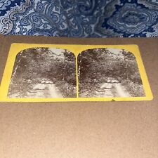 JA French Stereoview Card Photo: Silent Way, North View Keene NH New Hampshire picture