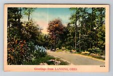 Lansing OH-Ohio, General Greetings, Country Lane, Vintage Postcard picture