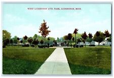 c1950 West Ludington Avenue Park Group Of People Ludington Michigan MI Postcard picture