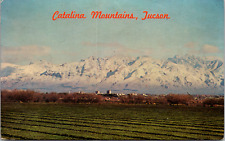 Catalina Mountain, Tuscon, Arizona, Vintage Postcard picture