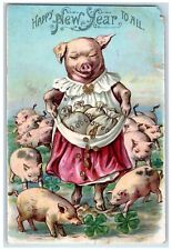 1905 New Year Anthropomorphic Pig Sacks Of Coins Clover Embossed Postcard picture