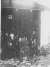 5L Photograph Artistic View Old Wood Cabin Pabst Blue Ribbon Cases Beer 1930-40s picture