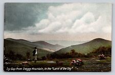 c1905 Ivy Gap From Craggy Mountain Person Land Of The Sky North Carolina P528A picture