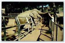 c1950 Marsalis Park Zoo Marsalis & Clarendon Avenue Oak Cliff Dallas TX Postcard picture