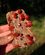 Vanadinite Large Bright Red Crystals On Matrix From Morocco   9.8 Cms picture