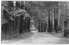 RPPC Cascade Drive MILL VALLEY, CA Marin County Zan c1930s Vintage Postcard picture