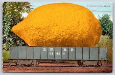 Exaggerated~Giant Lemon Im Sending You A Lemon~Vintage Postcard picture