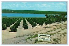 c1950's View Of Governors Grove Sign Miami Beach Florida FL Vintage Postcard picture