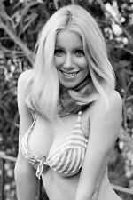 ACTRESS SUZANNE SOMERS PIN UP - 4x6 PHOTO REPRINT picture