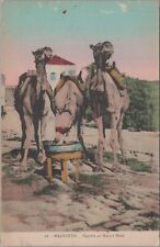 Postcard Camels at Mary's Well Nazareth Israel  picture