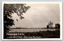 Postcard Michigan RPPC Lakeview Tamarack Lake Herron Photo Unposted Divided Back picture
