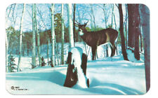 Oscoda MI Postcard Michigan Greetings Deer Snow picture