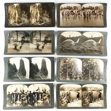 Oregon Stereoview Lot of 8 Antique Stereoscopic Photo Starter Set C1753 picture
