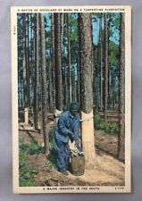 c 1940 TURPENTINE Industry South PINE TREES African American Man Postcard VINTGE picture