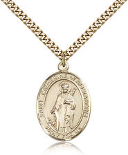 Saint Catherine Of Alexandria Medal For Men - Gold Filled Necklace On 24 Cha... picture