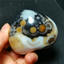 TOP 163G Natural Polished Silk Banded Lace Agate Crystal Geode BY1113 picture
