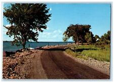 c1960's Greetings From Shakamak State Park Jasonville Indiana IN Trees Postcard picture