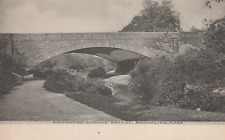 Longwood Avenue Bridge, Brookline, Massachusetts. antique post card. picture