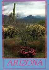 Theodore Roosevelt Lake Cactus Blooming Brush Arizona Vintage Postcard Unposted picture