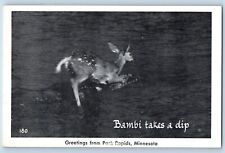 Park Rapids Minnesota Postcard Greetings Bambi Takes A Dip 1940 Vintage Unposted picture