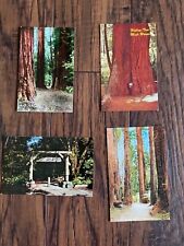 Muir Woods National Monument CA Redwood Sequoia Trees Lot of 4 Postcards picture