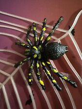 11” Glow In The Dark Spider Web With Suction Cups & 2 Spiders Ships Immediately picture