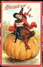 Beautiful 1910 Halloween Postcard Original Witch, Pumpkin, Black Cat (Tuck) picture