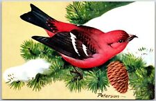 Animals- White-Winged Crossbill Perched On a Snow-Dusted Pine Cone, Postcard picture