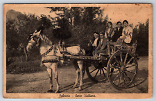 c1910s Palermo Carro Siciliano Sicily Horse Buggy Cart Antique Postcard picture