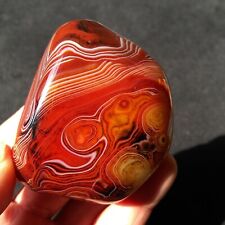 TOP 171G Natural Polished Aquatic Plants Agate Crystal Madagascar D189 picture