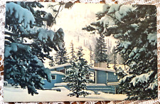Squaw Valley Lodge California 1960 Olympics Vintage Postcard Unused picture