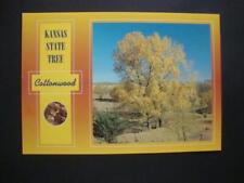 Railfans2 305) 1995 Postcard, Kansas State Tree, The Cottonwood (Pioneer) Tree picture