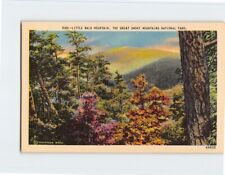 Postcard Little Bald Mountain, The Great Smoky Mountains National Park picture