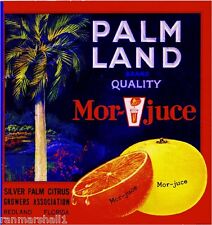 Redland Florida Palm Land Orange Citrus Fruit Crate Label Art Print picture