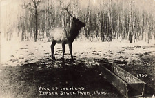 RPPC King of the Herd Itasca State Park Minnesota Postcard picture