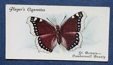 CAMBERWELL BEAUTY   Butterfly   Vintage Card   OC23 picture