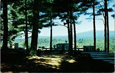Vtg Rindge New Hampshire NH Cathedral of the Pines 1950s Chrome View Postcard picture