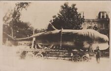 RPPC Postcard Whale Being Moved in Giant Cart July 1925 picture