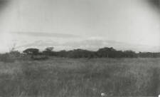 Mount Kilimanjaro - from the north east Tanzania 1905 OLD PHOTO picture