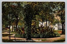 City Park & Carnegie Library Carthage Missouri Posted 1908 Postcard picture