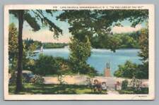 Lake Osceola HENDERSONVILLE North Carolina ~ Vintage Linen Tuxedo NC DPO 1938 picture