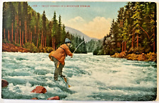 Vintage Postcard 1910's View of Trout Fishing In a Raging Mountain Stream picture