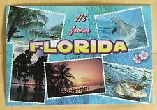 Postcard FL. Greetings From Florida  picture