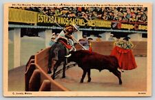 Vintage Juarez Mexico Bullfight Linen Postcard Toreador Unposted #2020 picture