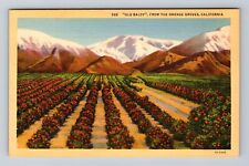 Mount Baldy CA-California, Scenic Views Mountain, Orange Groves Vintage Postcard picture