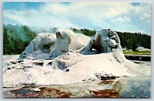 Postcard Grotto Geyser Yellowstone National Park Unposted picture