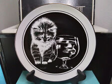 Kittens World by Droguett (1979) Just Curious Plate Only 20306/27500 picture