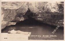 Roaring River Spring Cassville Missouri MO State Park Real Photo Postcard C60 picture