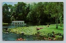 SILVER SPRINGS FLORIDA NATURE'S Silver River Postcard picture