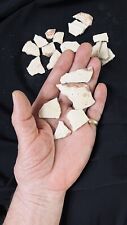 Genuine Dinosaur Egg Shell Fragments, 110 MYO, Segnosaur picture